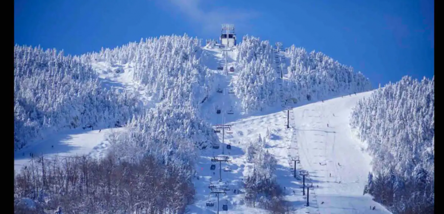 Condo à louer à Magog